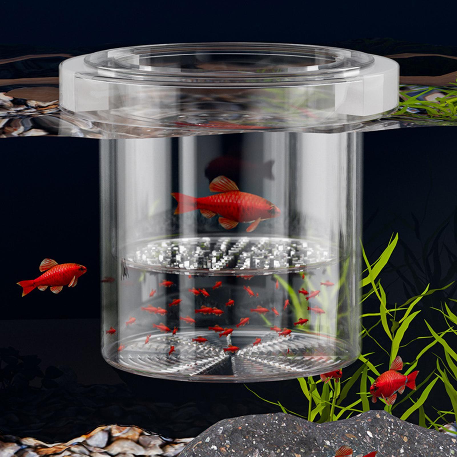 Kotak Pembiakan Ikan yang Taha - Lab Incubator ulasan dan harga