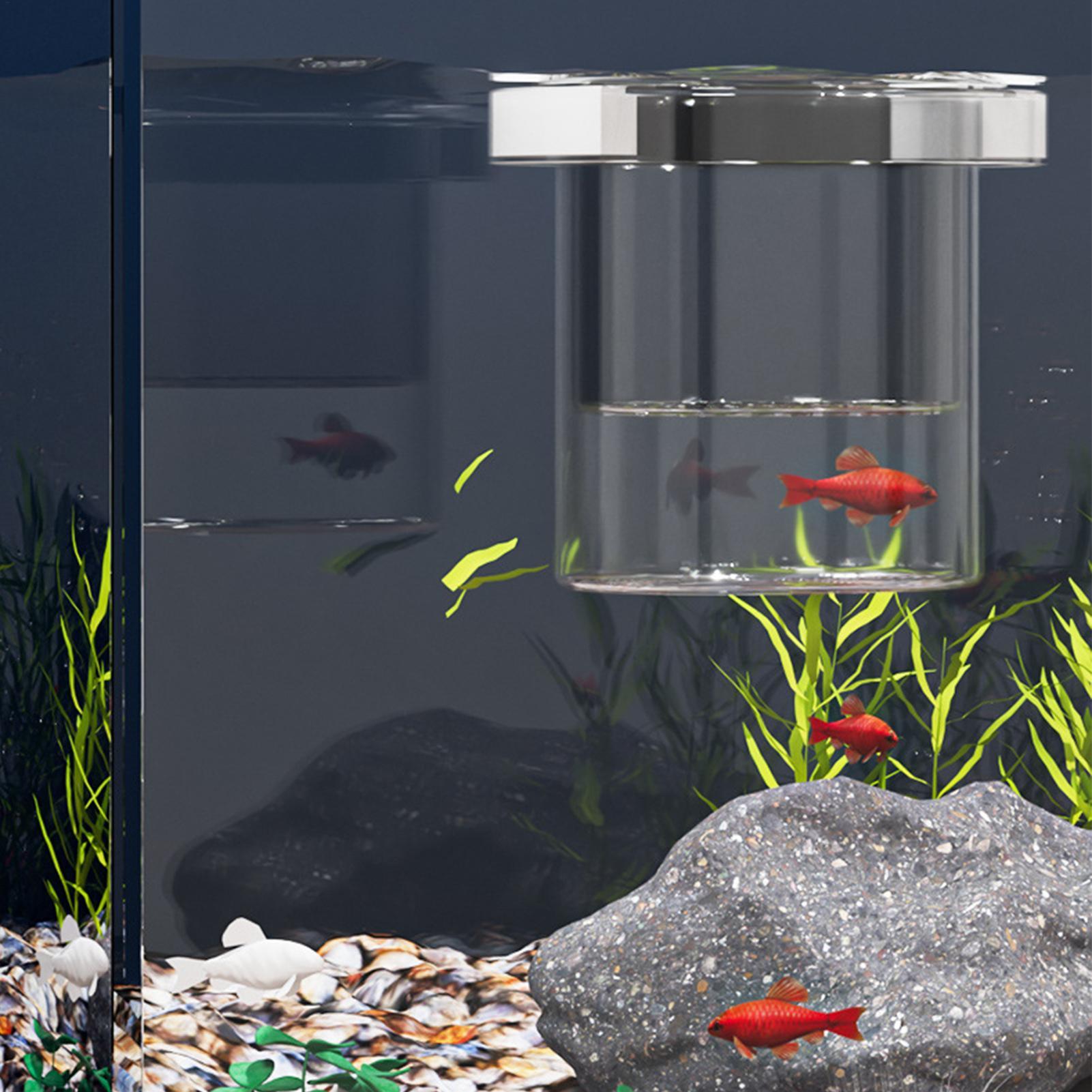Kotak Pembiakan Ikan yang Taha - Lab Incubator ulasan dan harga