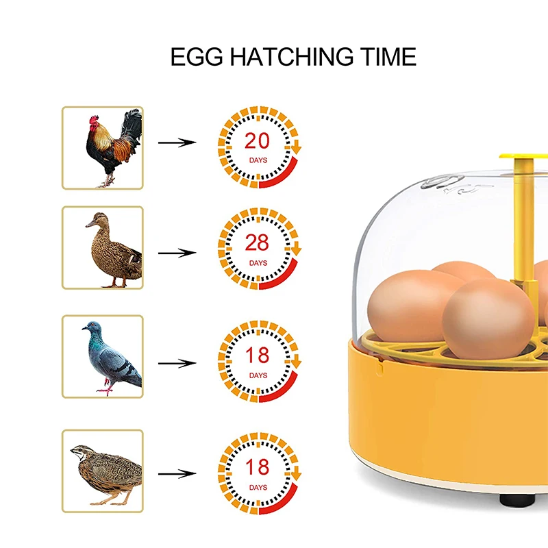 Inkubator Pembiakan Ayam Bebek - Lab Incubator ulasan dan harga