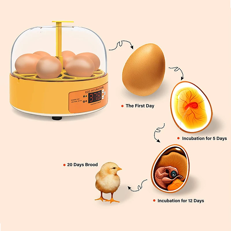 Inkubator Pembiakan Ayam Bebek - Lab Incubator ulasan dan harga