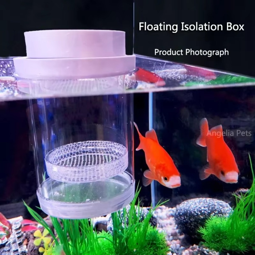 Kotak Isolasi Pembiakan Ikan M - Lab Incubator ulasan dan harga
