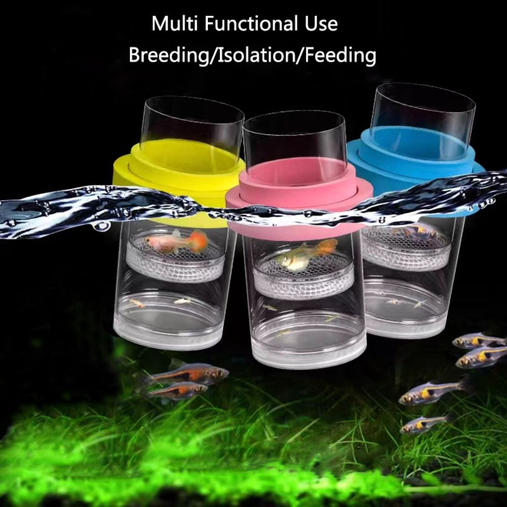 Kotak Isolasi Pembiakan Ikan M - Lab Incubator ulasan dan harga