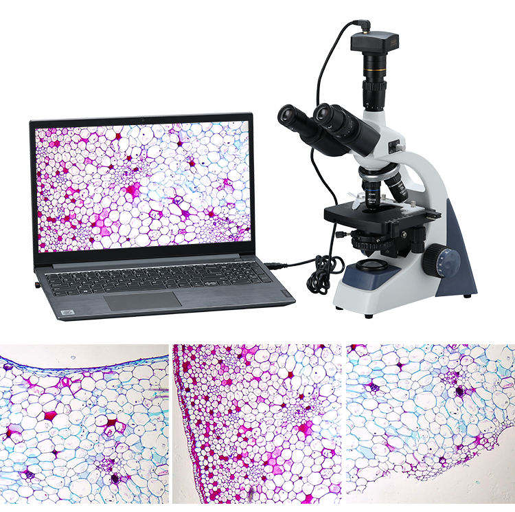 Mikroskop Video Digital Biolog - Digital Microscope ulasan dan harga
