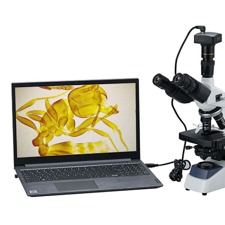 Mikroskop Video Digital Biolog - Digital Microscope ulasan dan harga