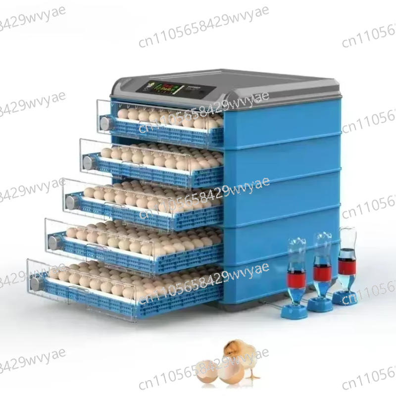 Mesin Penetas Telur Otomatis P - Lab Incubator ulasan dan harga